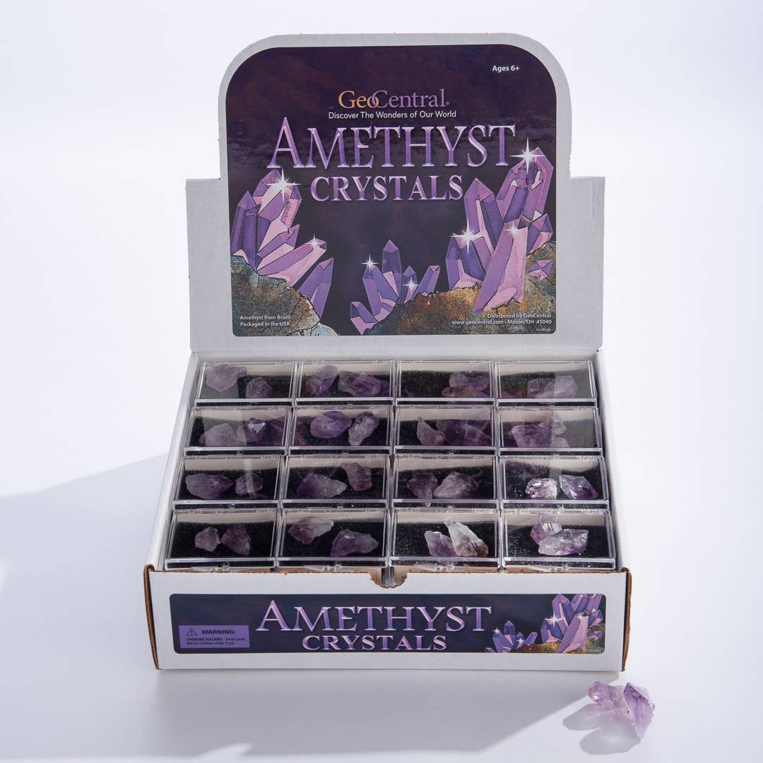 Amethyst Point Souvenir Box - 48 count with Display