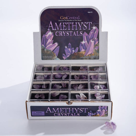 Amethyst Point Souvenir Box - 48 count with Display